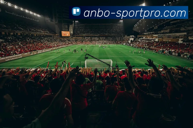 安博体育专业版平台生态图